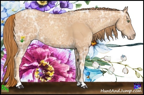 Horse Color:Gold Champagne Ice 