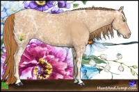 Horse Color:Gold Champagne Ice 