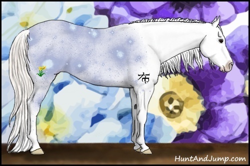 Horse Color:Silver Black Sabino Blanket