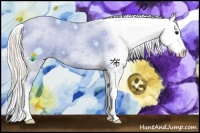 Horse Color:Silver Black Sabino Blanket 