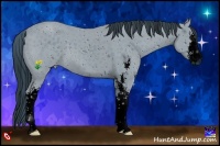 Horse Color:ERROR: UNKNOWN ANOMALY