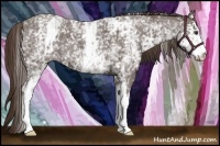 Horse Color:White Spotted Liver Red Roan 