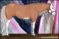 Horse Color:Silver Bay Roan Splash 