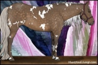 Horse Color:White Spotted Silver Buckskin 