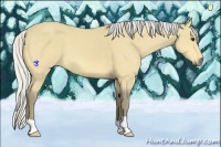 Horse Color:Silver Buckskin 