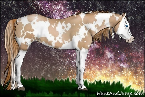 Horse Color:White Spotted Chestnut Pearl Splash