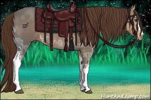Horse Color:White Spotted Liver Chestnut Ice