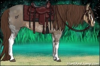 Horse Color:White Spotted Liver Chestnut Ice