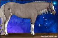 Horse Color:White Spotted Silver Blue Roan 