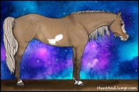 Horse Color:Silver Bay Dun Frame Rabicano