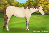 Horse Color:Bay Pearl Dun Sabino