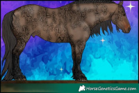 Horse Color:Brown Ice Dun  Brindle