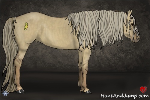Horse Color:Liver Red Dun Brindle