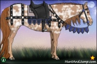 Horse Color:Chestnut Ice 