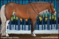 Horse Color:Silver Bay Sabino