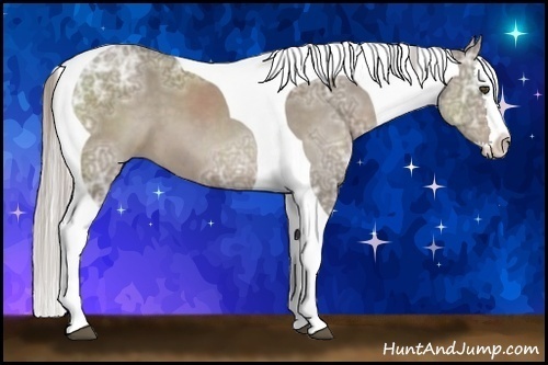 Horse Color:Silver Grullo Ice Sabino Splash Tobiano 