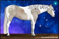 Horse Color:Silver Grullo Ice Sabino Splash Tobiano 