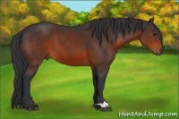 Horse Color:Brown 