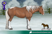 Horse Color:Silver Black Sabino Splash Tobiano