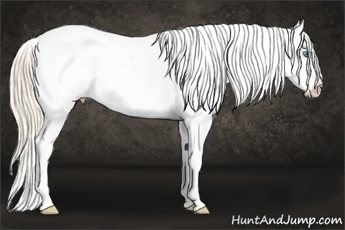 Horse Color:Perlino Dun Splash Blanket