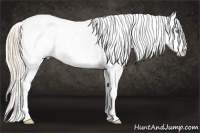 Horse Color:Perlino Dun Splash Blanket