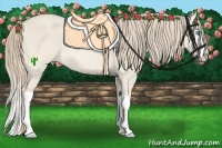 Horse Color:Smoky Creme Dun Splash Rabicano 