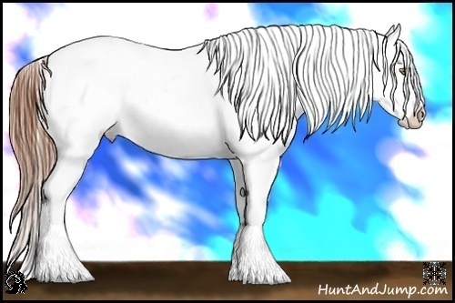 Horse Color:White Spotted Sable Champagne Snowflake Varnish