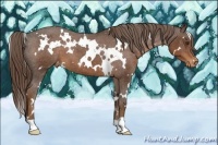 Horse Color:White Spotted Liver Chestnut Varnish 