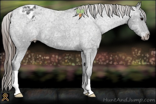 Horse Color:Smoky Black Ice Appaloosa 