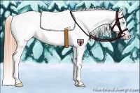 Horse Color:White Spotted Buckskin Pearl Appaloosa 