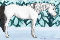 Horse Color:White Spotted Bay Ice 