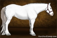 Horse Color:Liver Chestnut Tobiano Blanket