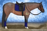Horse Color:Bay Roan 