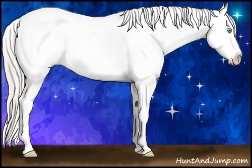 Horse Color:Palomino Pearl Sabino Varnish Rabicano 