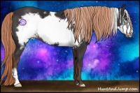 Horse Color:Liver Chestnut Frame 