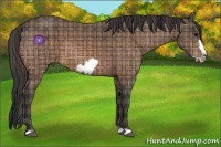 Horse Color:Plaid Bay Frame