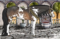 Horse Color:Buckskin Sabino 