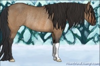 Horse Color:Bay Dun Rabicano 