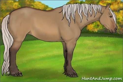 Horse Color:Silver Brown Dun Rabicano 