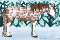 Horse Color:Chestnut Ice Splash 