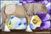 Horse Color:Palomino Roan 