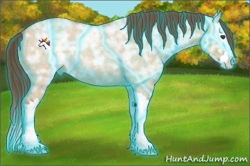 Horse Color:Thunderstruck Red Dun Ice Roan Splash Rabicano