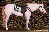 Horse Color:Buckskin Pearl Dun Sabino