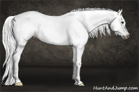 Horse Color:Gray Blue Roan Blanket