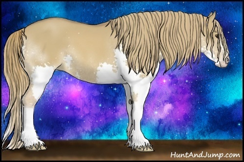 Horse Color:Red Dun Splash 