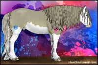 Horse Color:Watercolor Red Roan Splash 
