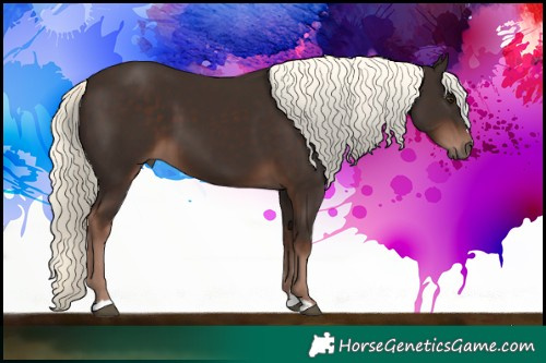 Horse Color:Liver Chestnut Mushroom 