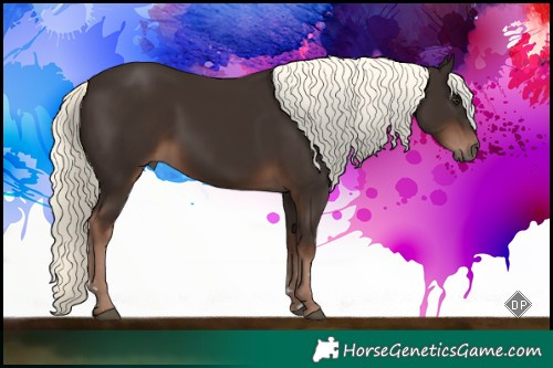 Horse Color:Liver Chestnut Mushroom 