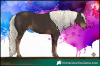 Horse Color:Liver Chestnut Mushroom 