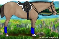 Horse Color:Classic Champagne 